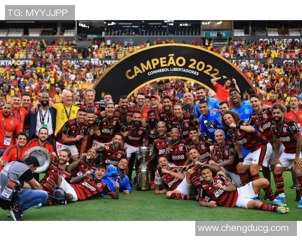 南美解放者杯约森独立队主场大胜南美新贵崛起